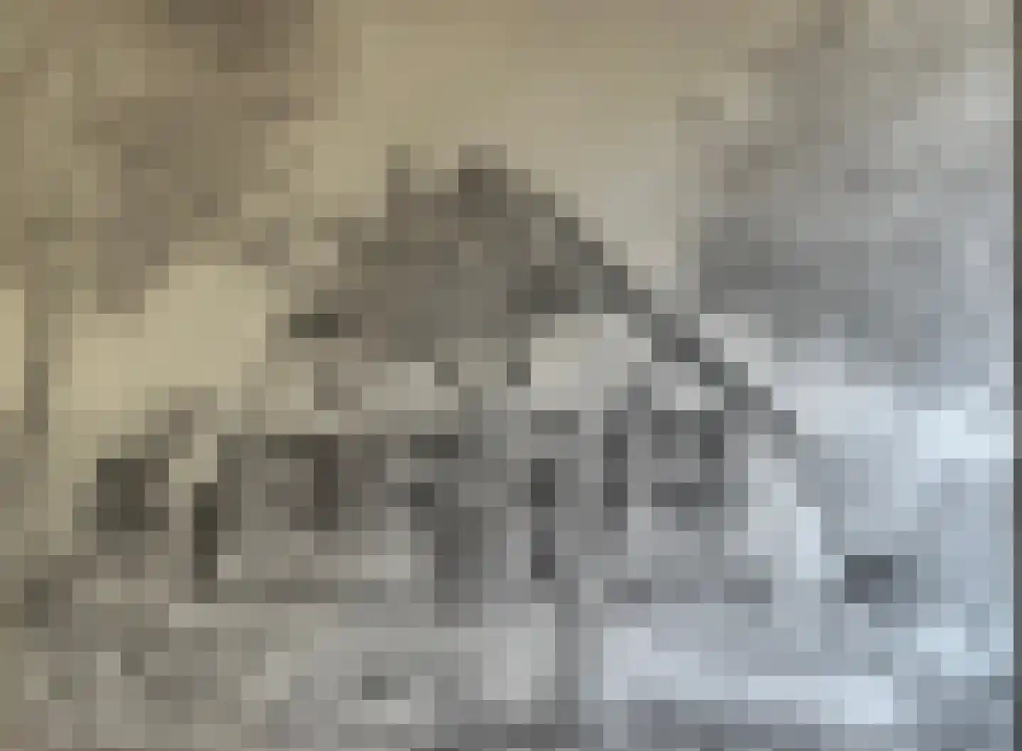 Binnenweg 32 Ellecom thumbnail 57