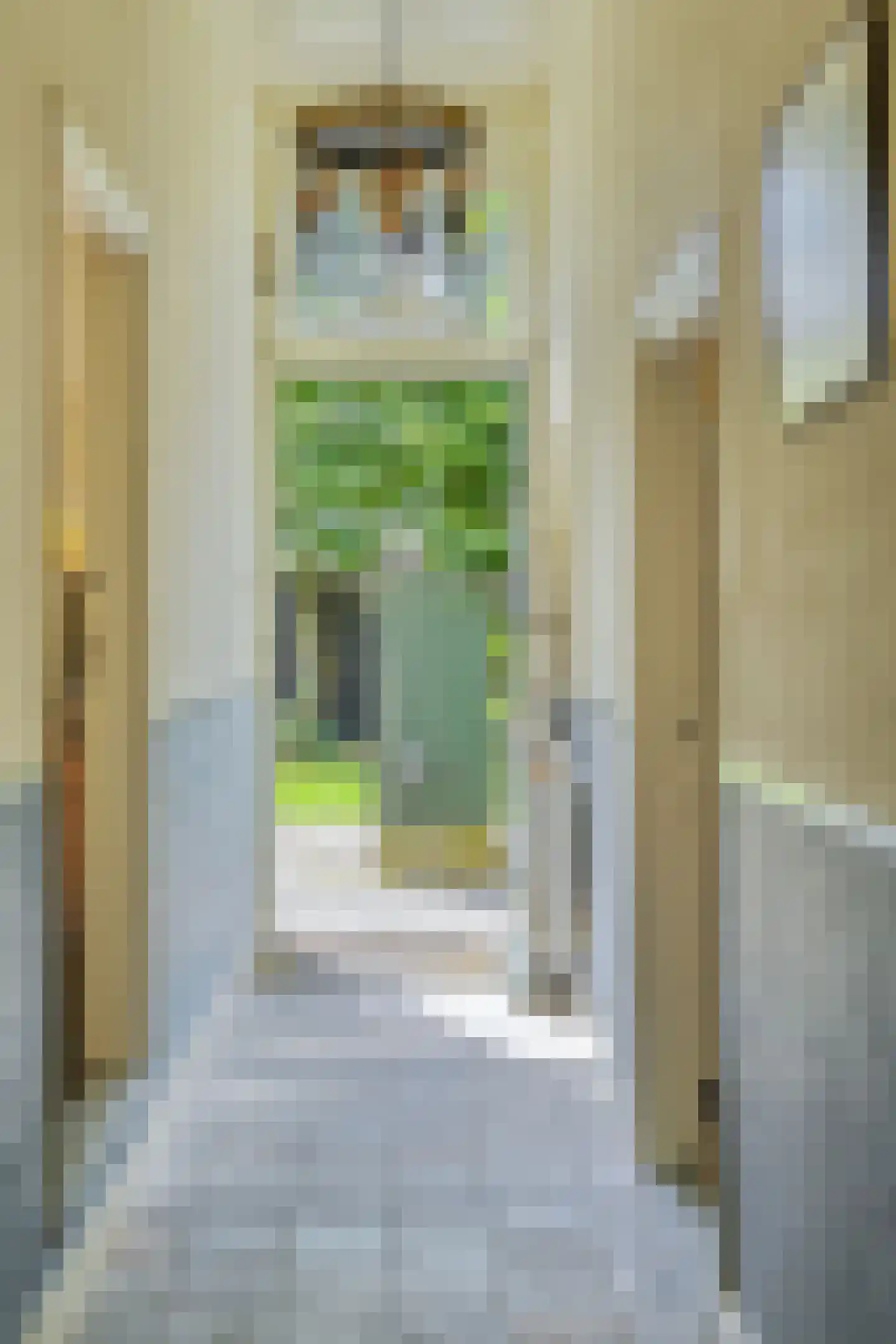 Binnenweg 32 Ellecom thumbnail 59