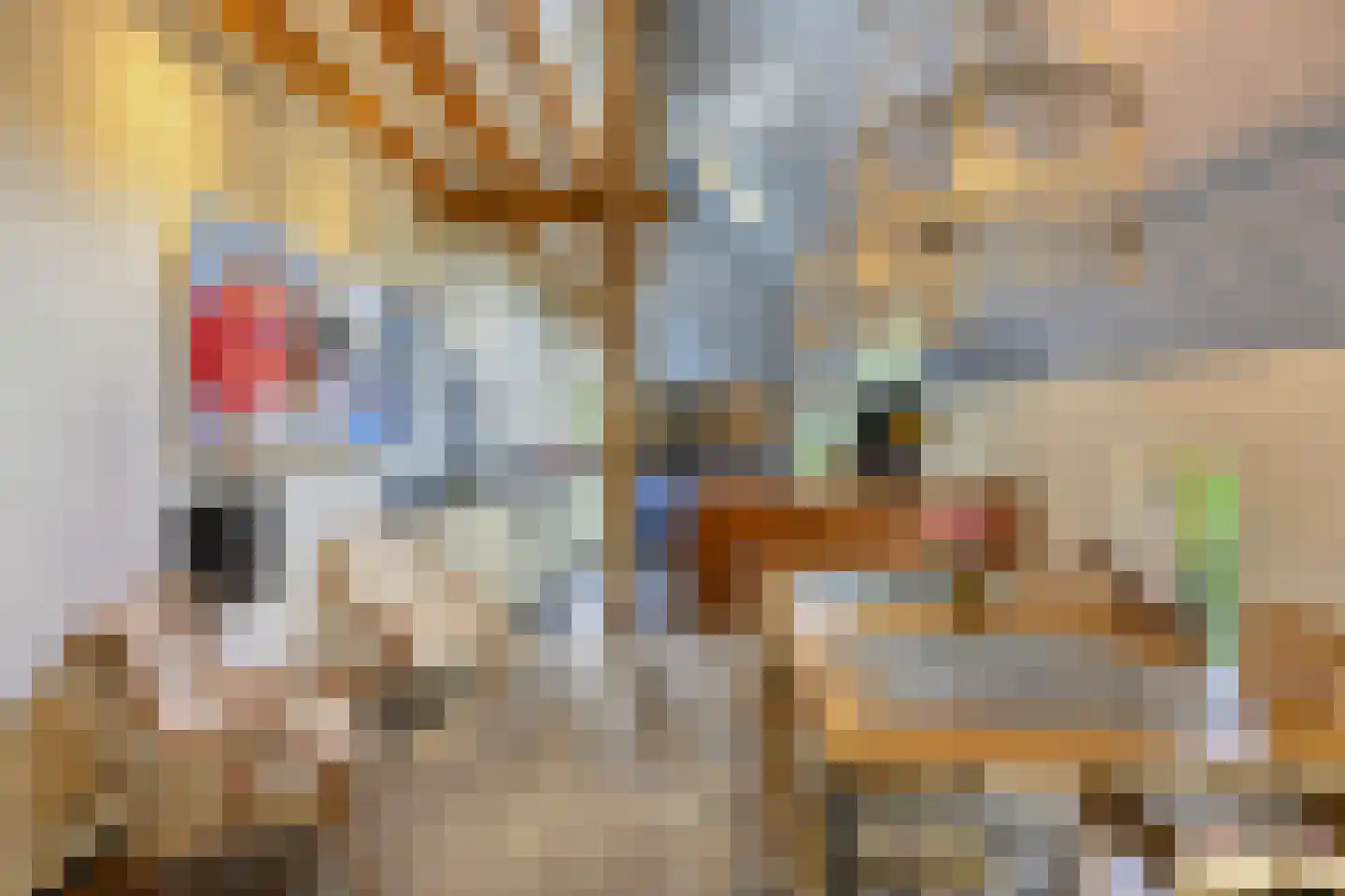 Binnenweg 32 Ellecom thumbnail 6
