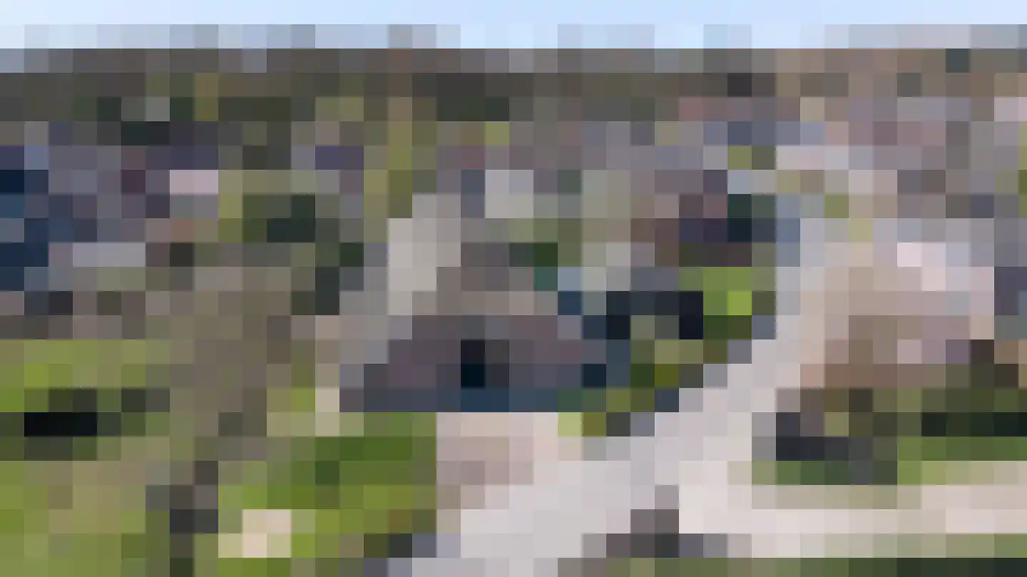 Binnenweg 32 Ellecom thumbnail 60