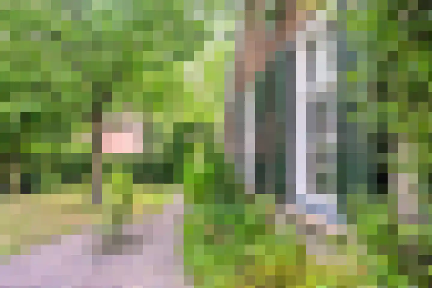 Binnenweg 32 Ellecom thumbnail 61
