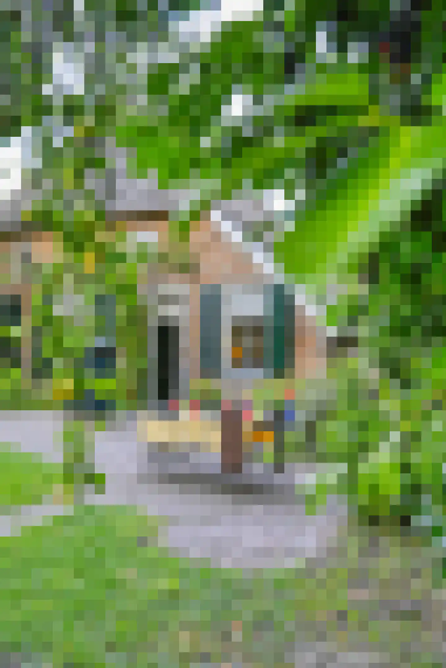 Binnenweg 32 Ellecom thumbnail 63