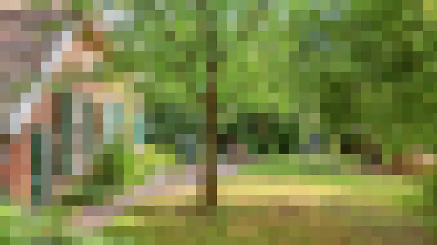 Binnenweg 32 Ellecom thumbnail 64