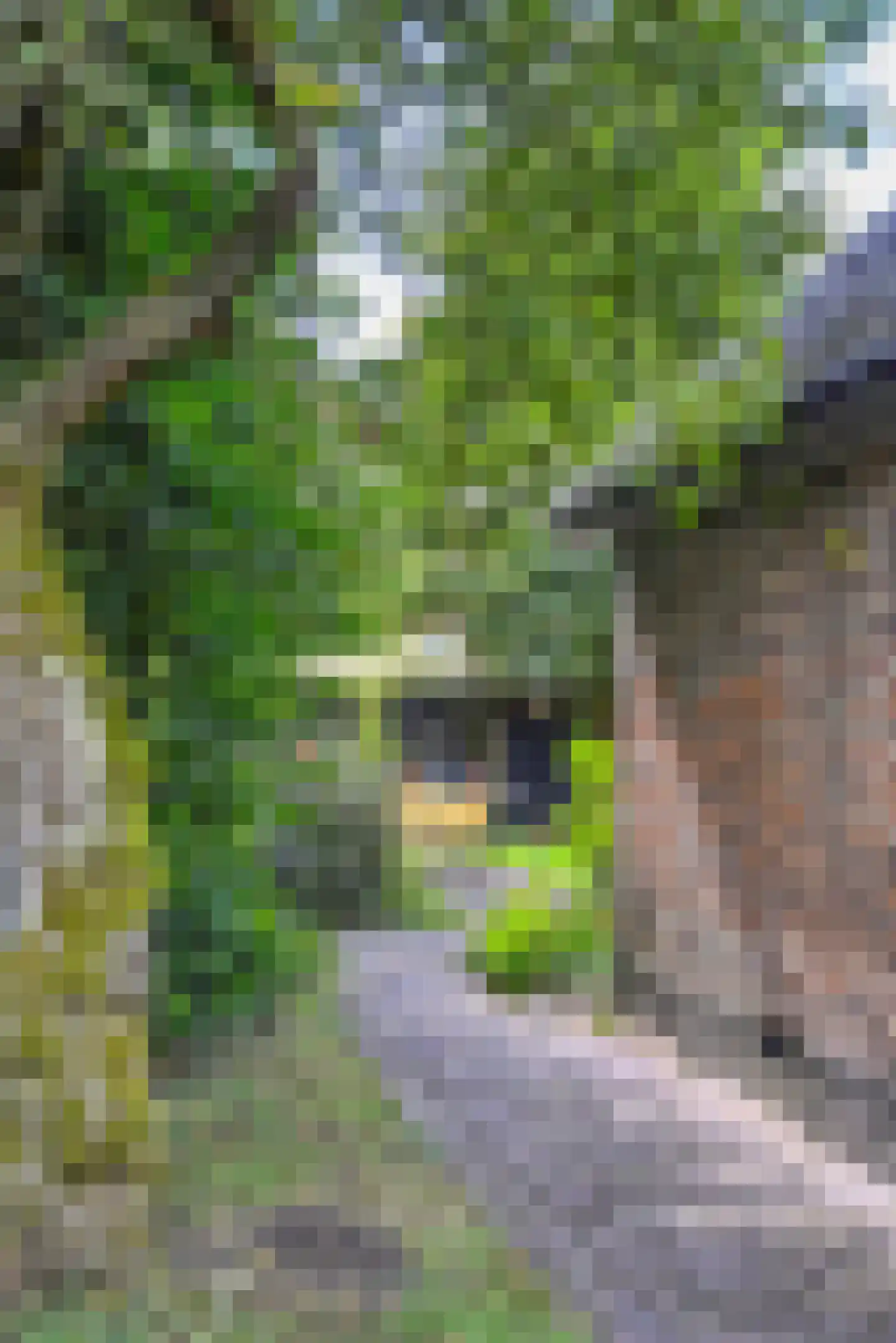 Binnenweg 32 Ellecom thumbnail 65