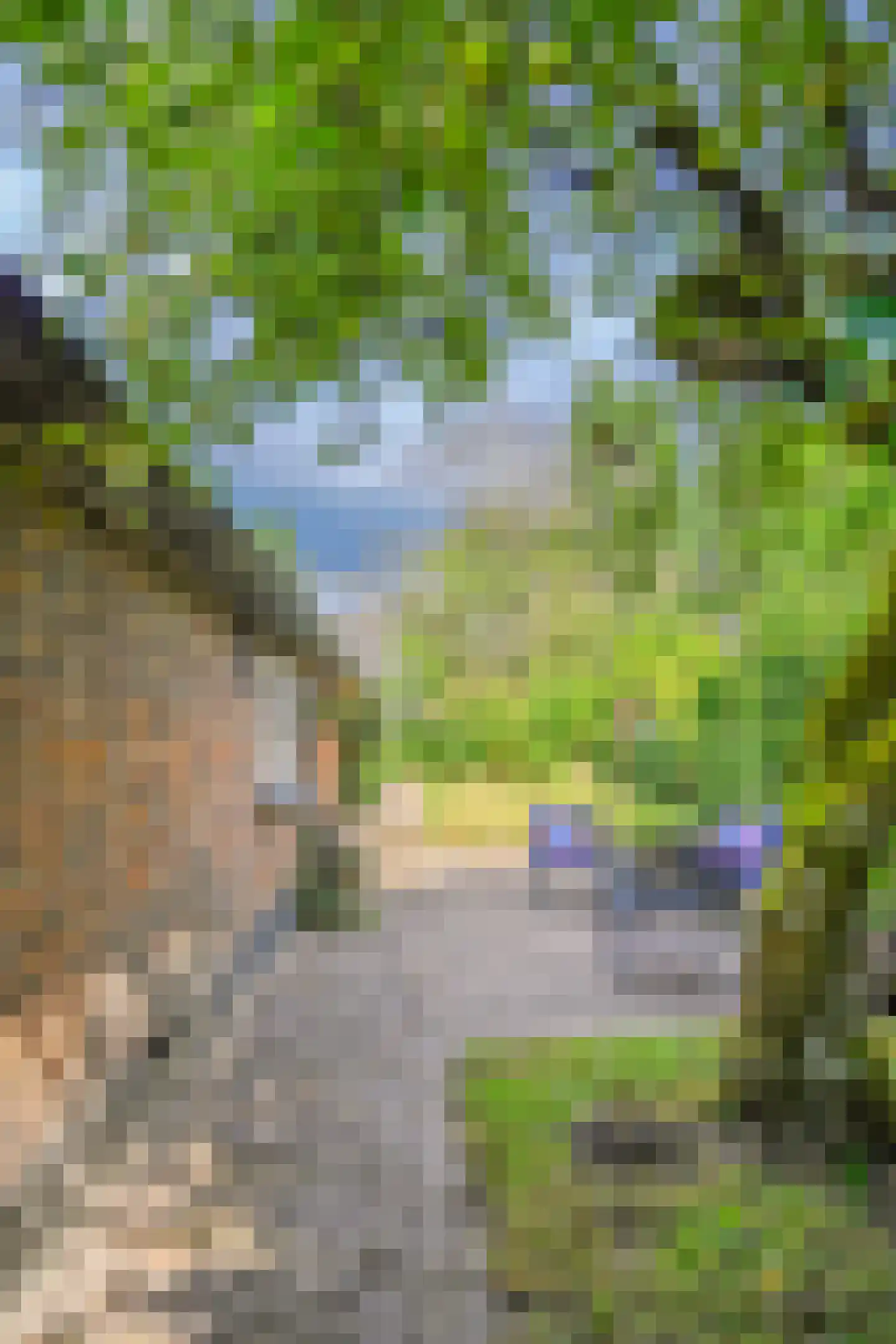 Binnenweg 32 Ellecom thumbnail 66