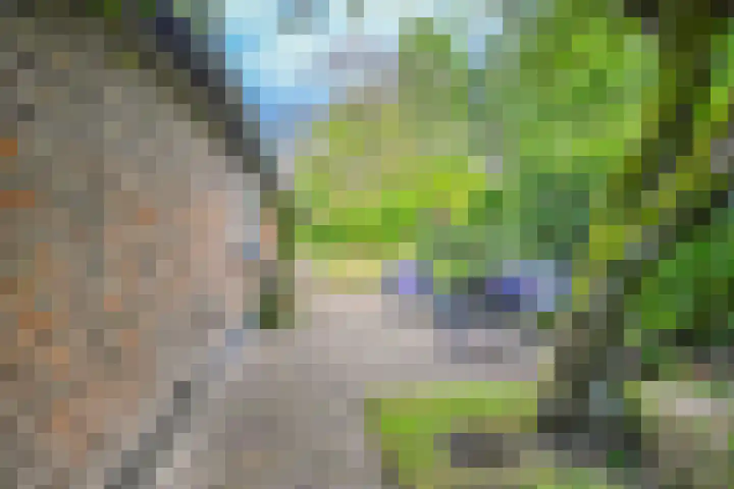 Binnenweg 32 Ellecom thumbnail 67