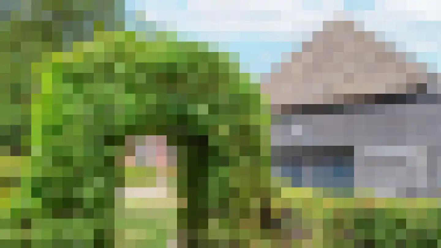 Binnenweg 32 Ellecom thumbnail 69
