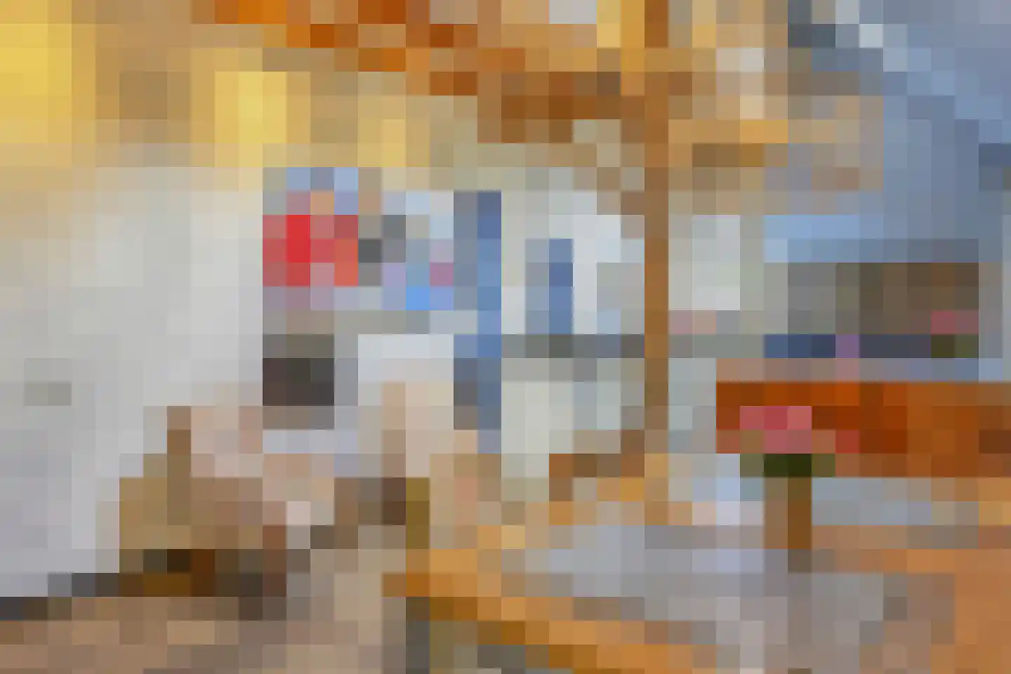 Binnenweg 32 Ellecom thumbnail 7