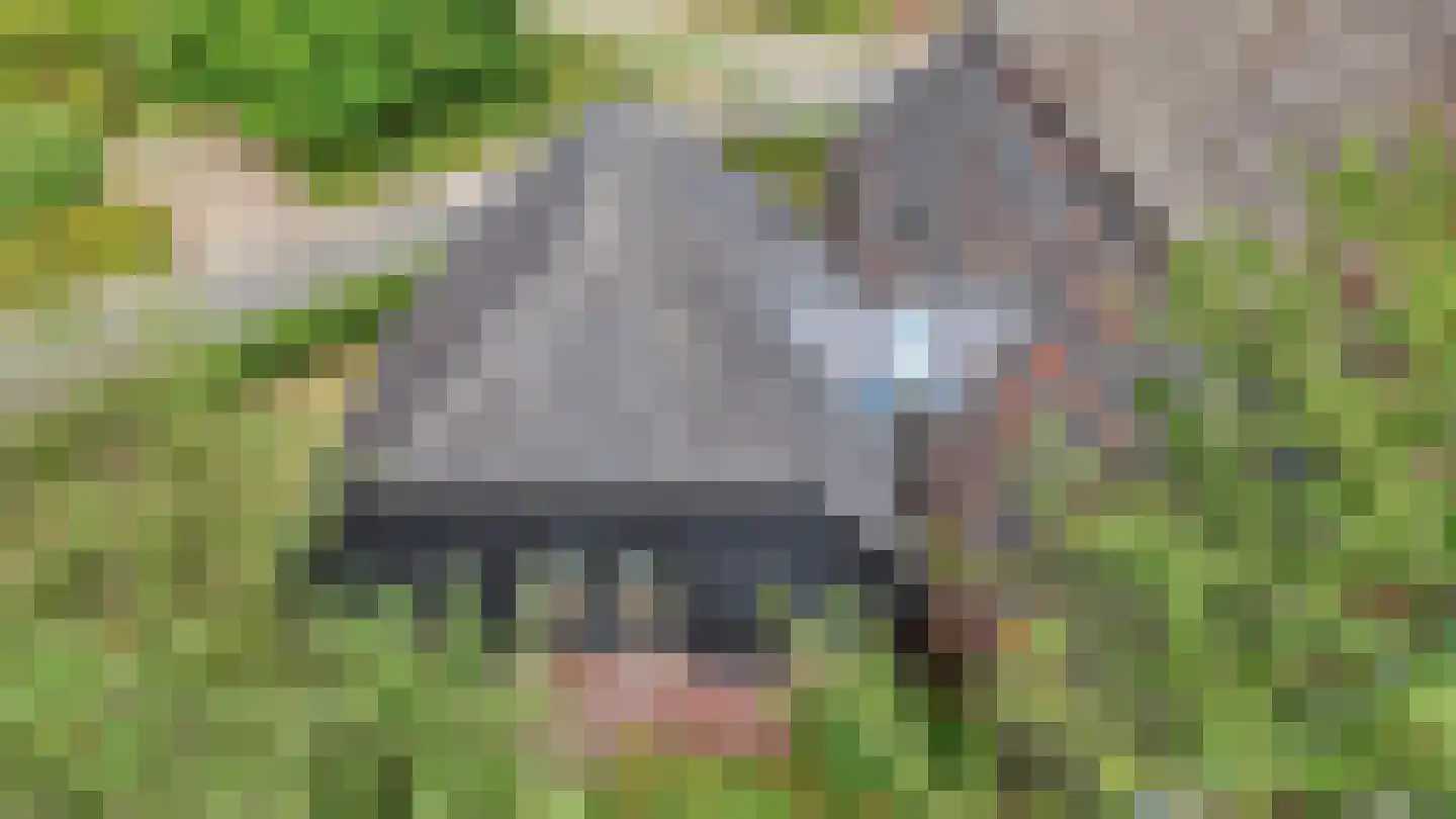 Binnenweg 32 Ellecom thumbnail 73
