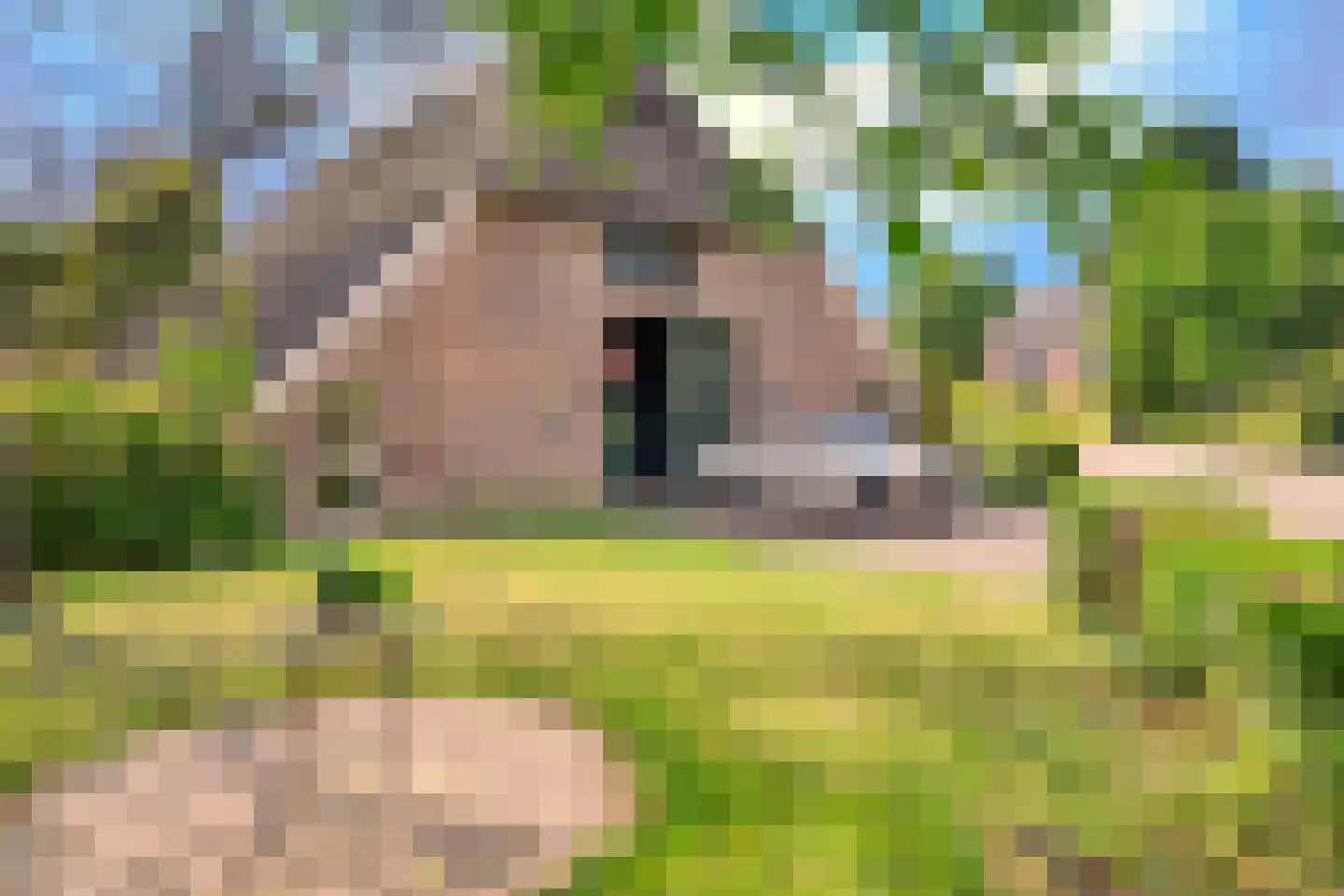 Binnenweg 32 Ellecom thumbnail 74