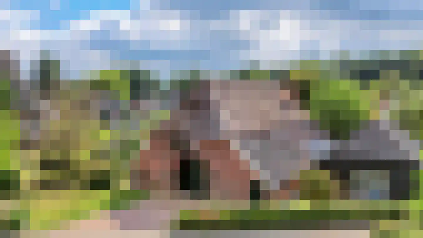 Binnenweg 32 Ellecom thumbnail 75