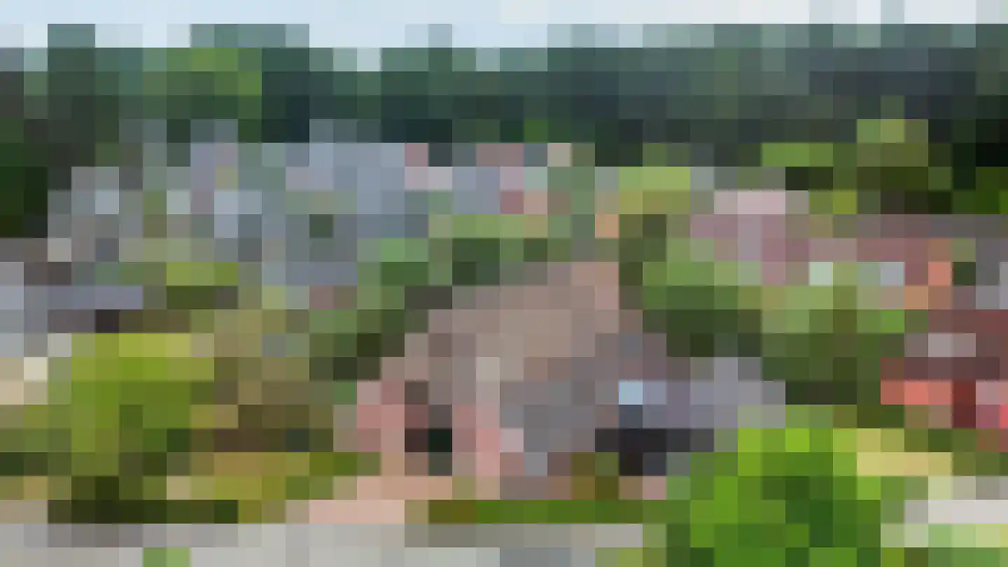 Binnenweg 32 Ellecom thumbnail 76