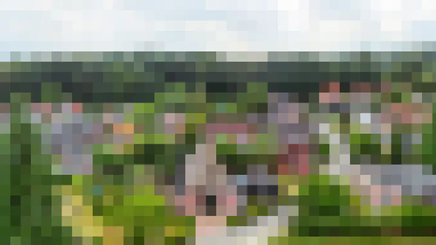 Binnenweg 32 Ellecom thumbnail 77