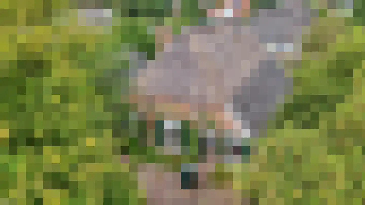 Binnenweg 32 Ellecom thumbnail 79