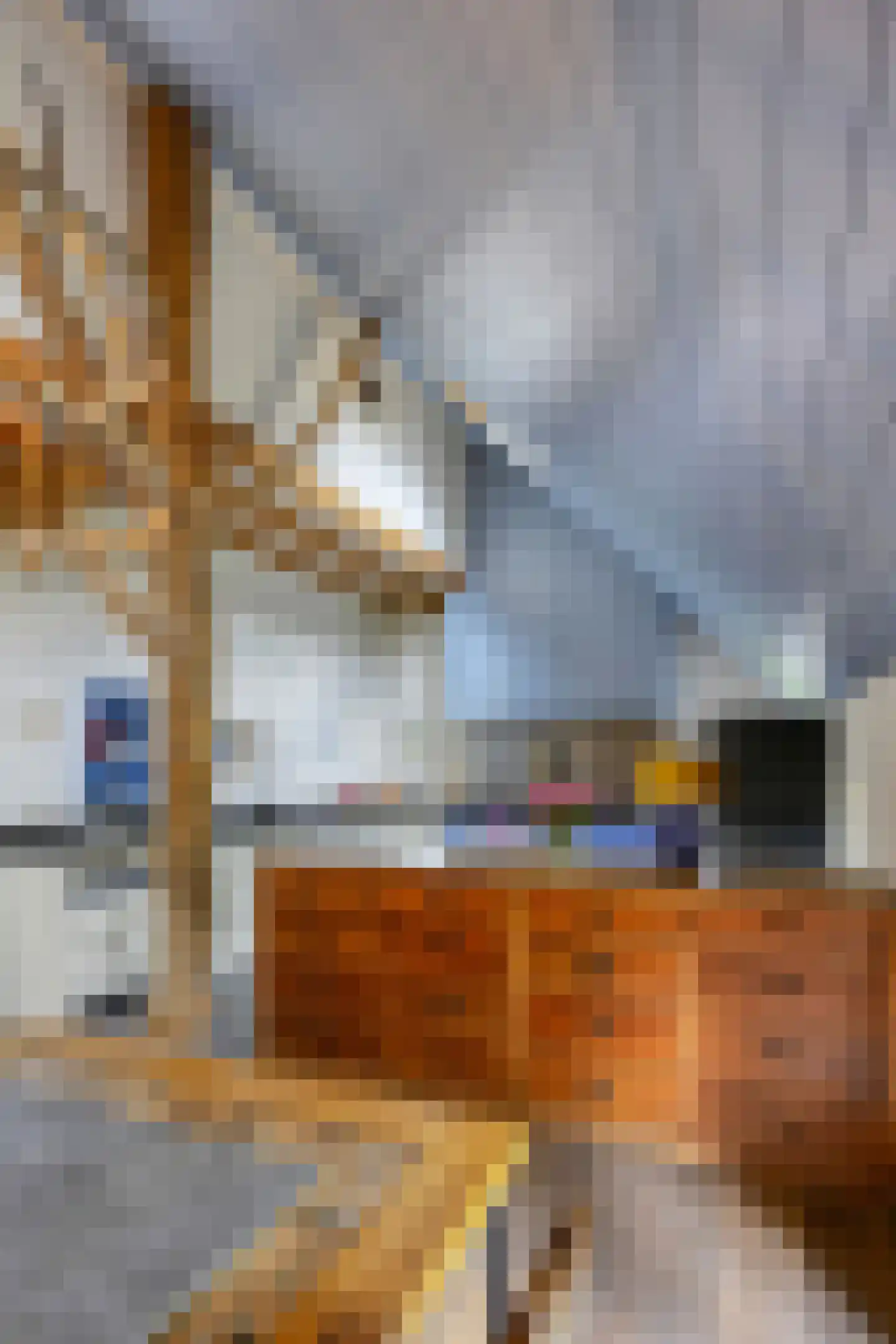 Binnenweg 32 Ellecom thumbnail 8