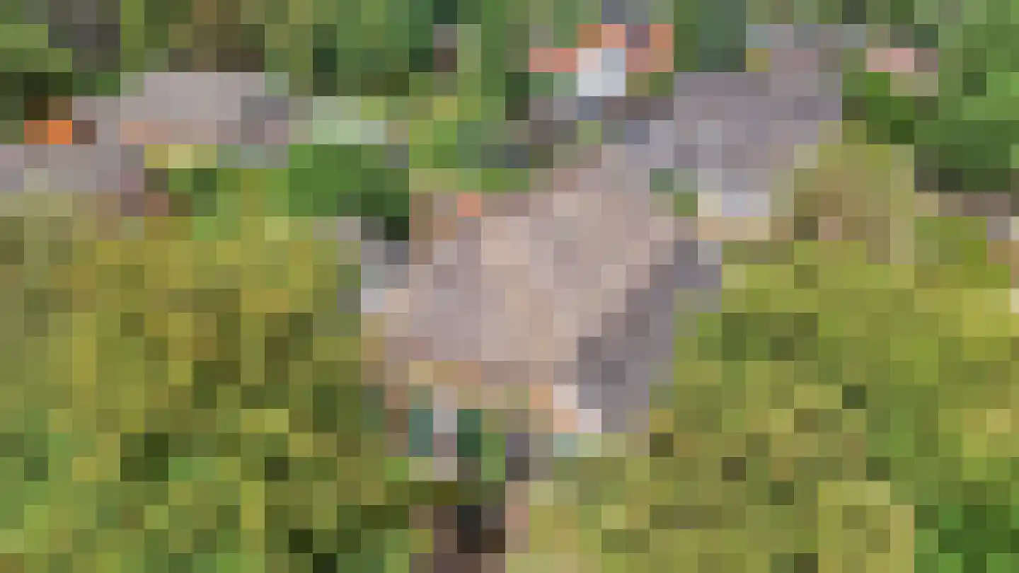Binnenweg 32 Ellecom thumbnail 80