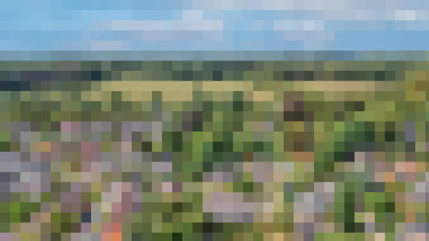 Binnenweg 32 Ellecom thumbnail 82