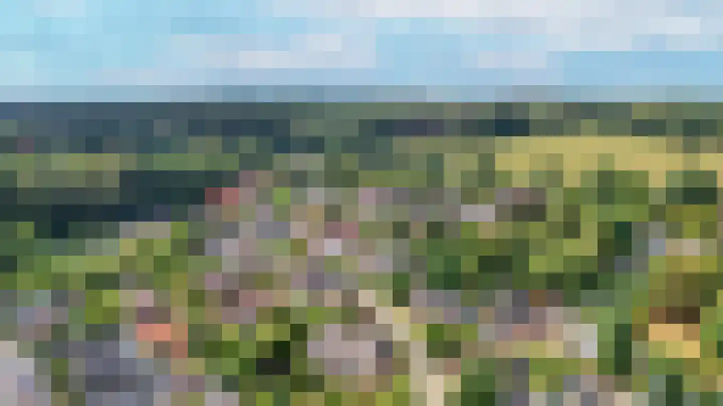 Binnenweg 32 Ellecom thumbnail 83