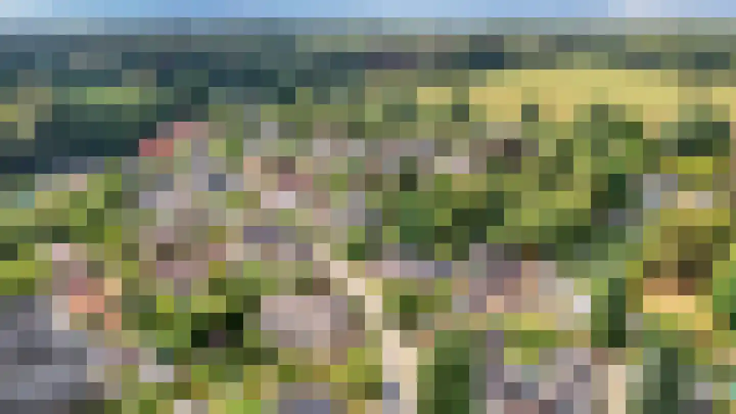 Binnenweg 32 Ellecom thumbnail 84