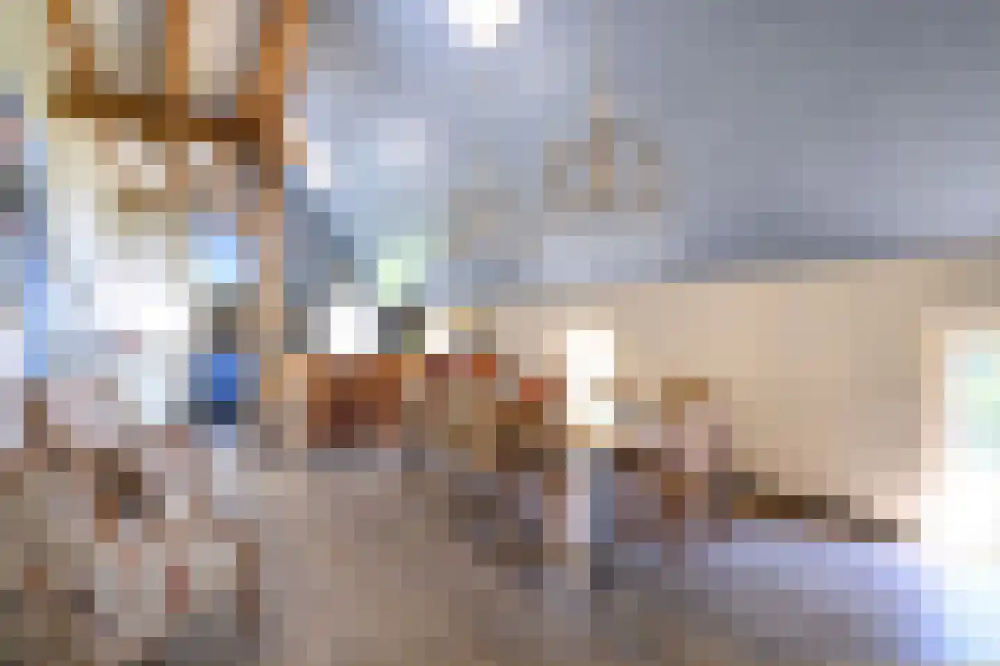 Binnenweg 32 Ellecom thumbnail 9