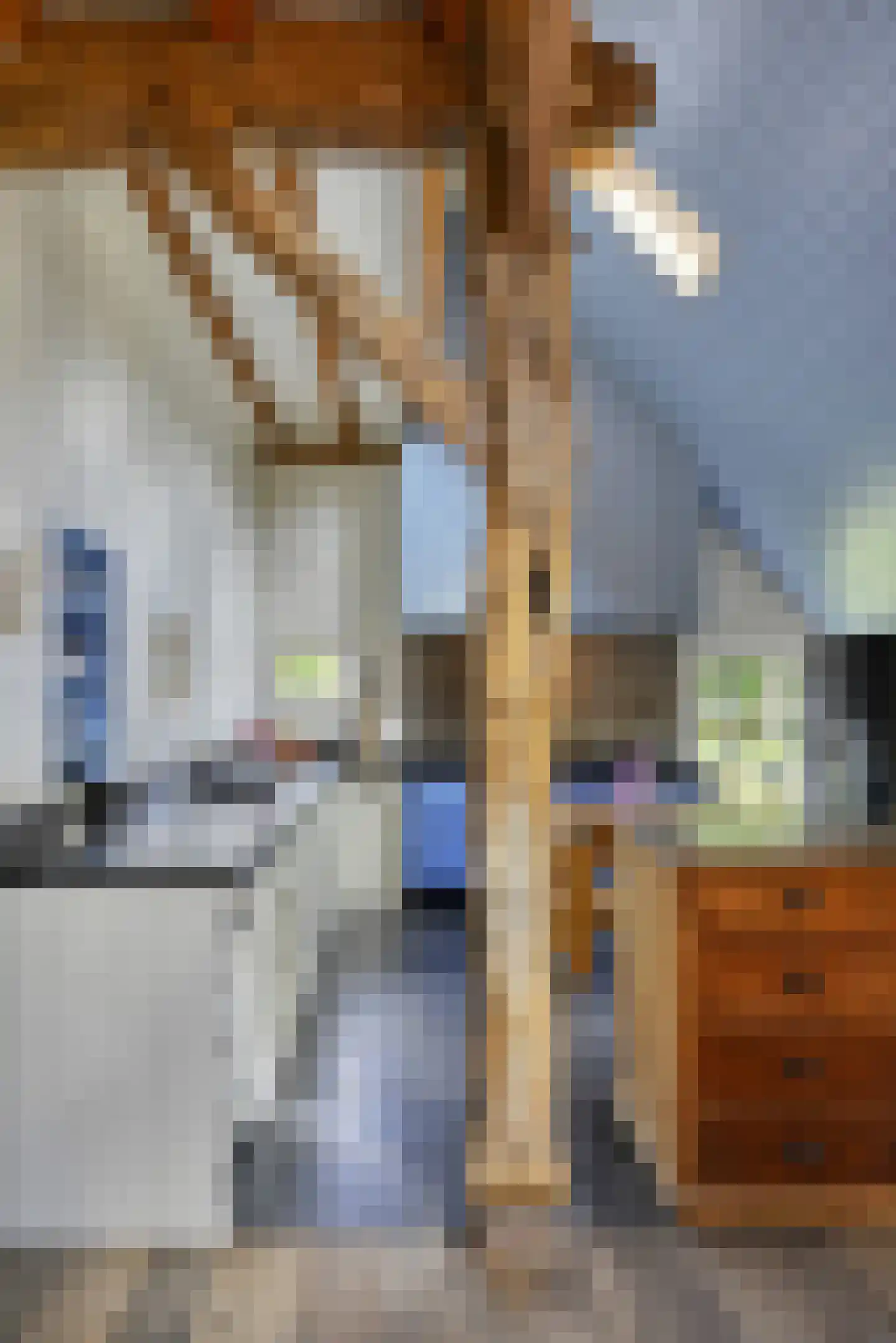 Binnenweg 32 Ellecom thumbnail 9