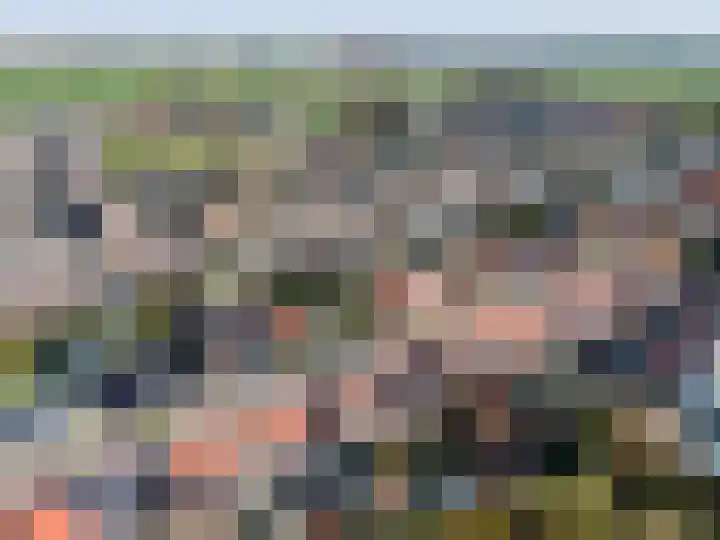Binnenweg 35 Melissant thumbnail 10