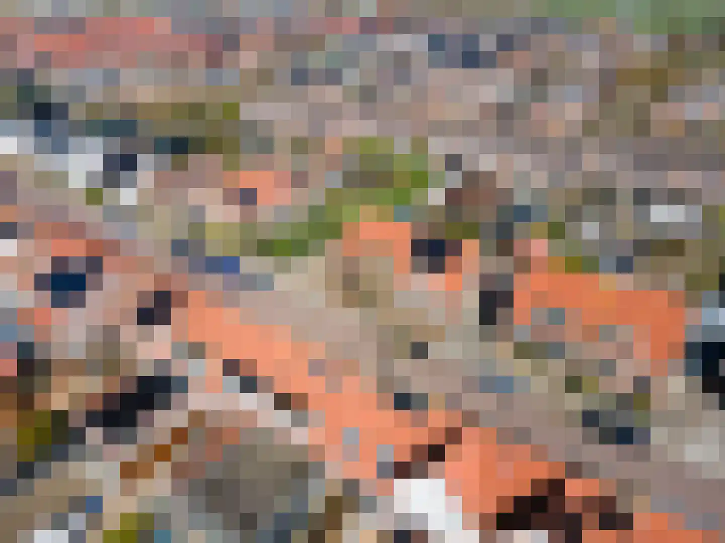 Binnenweg 35 Melissant thumbnail 11
