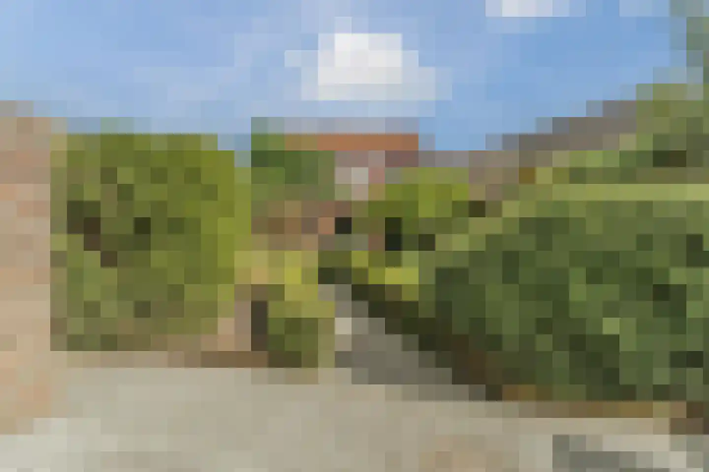 Binnenweg 36 Tiel