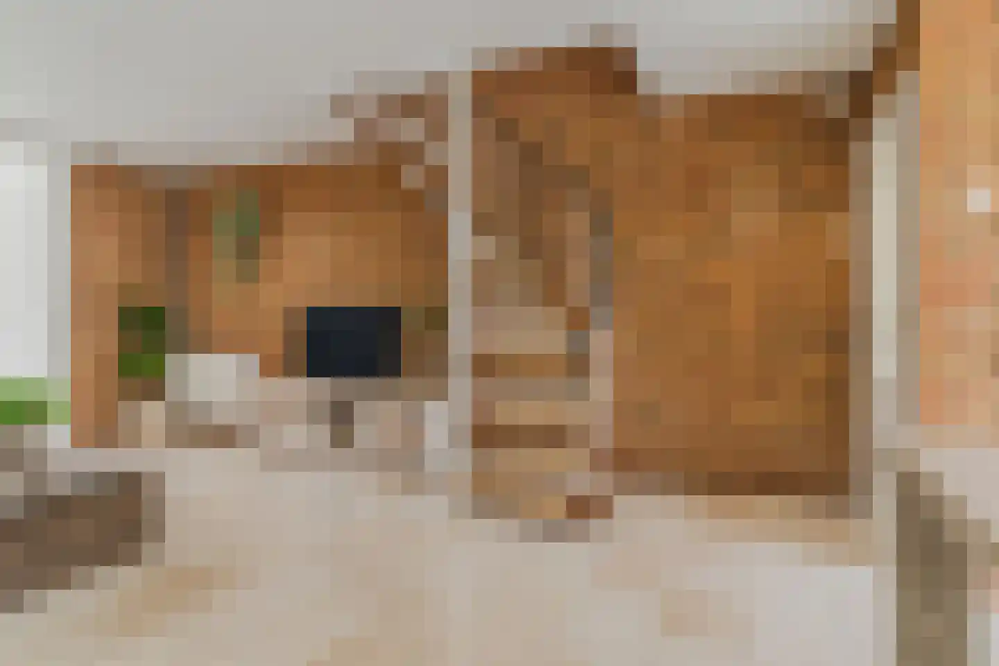 Binnenweg 36 Tiel thumbnail 10
