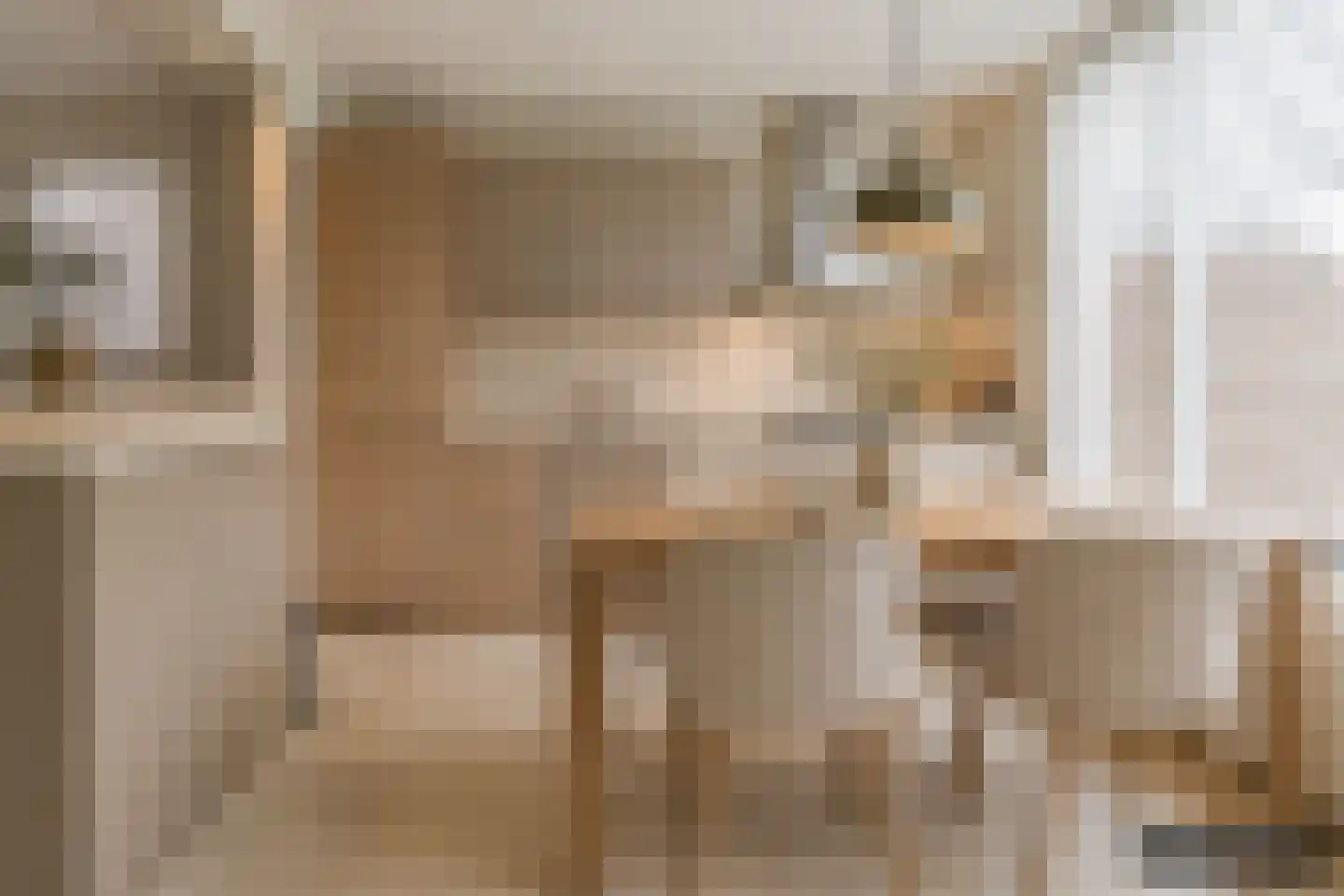 Binnenweg 36 Tiel thumbnail 15