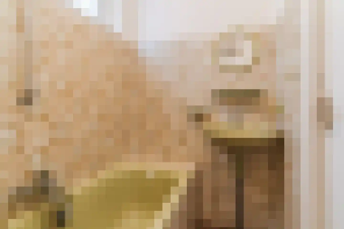Binnenweg 36 Tiel thumbnail 22