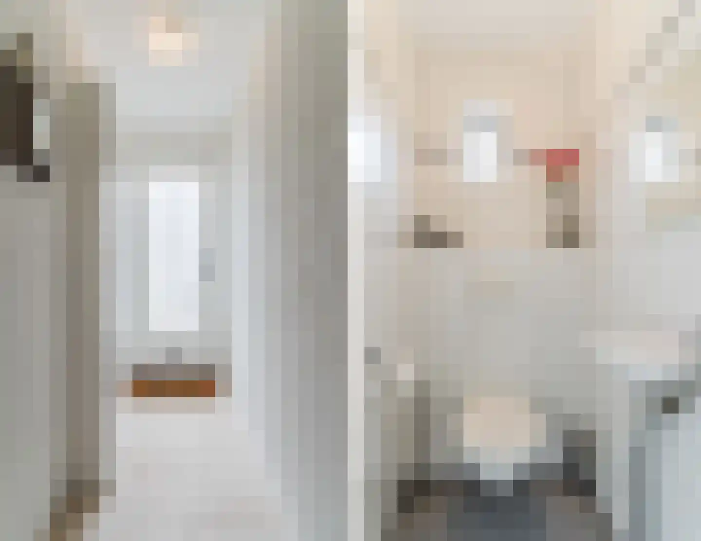 Binnenweg 36 Tiel thumbnail 6
