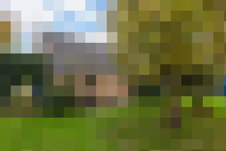 Binnenweg 37 Paasloo thumbnail 10