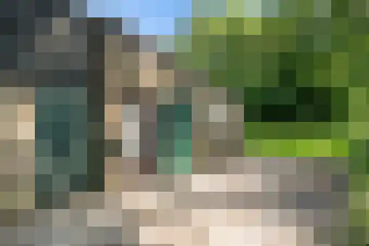 Binnenweg 37 Paasloo thumbnail 10