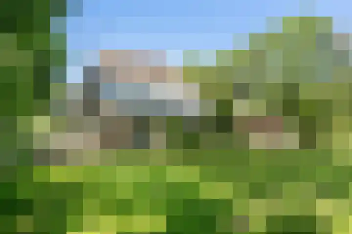 Binnenweg 37 Paasloo thumbnail 11