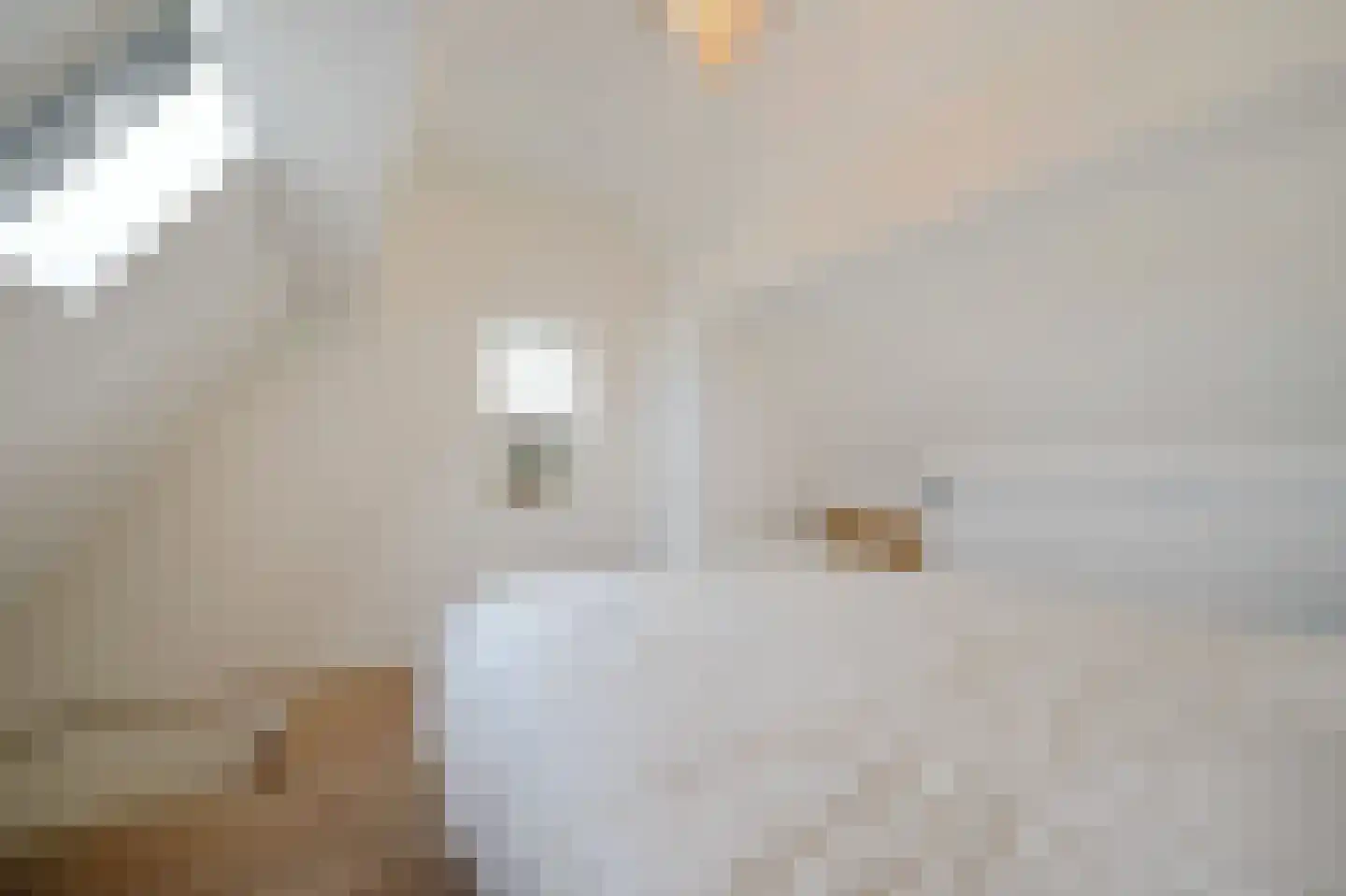 Binnenweg 37 Paasloo thumbnail 13