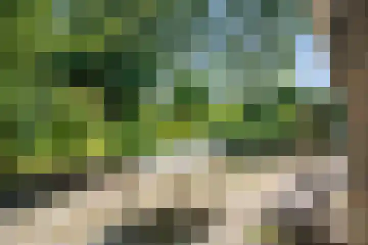 Binnenweg 37 Paasloo thumbnail 13