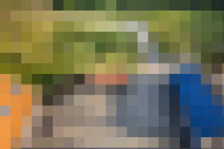 Binnenweg 37 Paasloo thumbnail 15