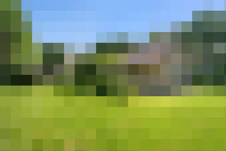 Binnenweg 37 Paasloo thumbnail 16