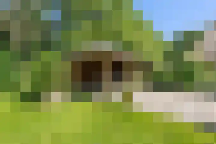 Binnenweg 37 Paasloo thumbnail 17