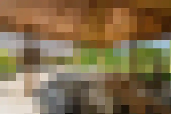 Binnenweg 37 Paasloo thumbnail 18