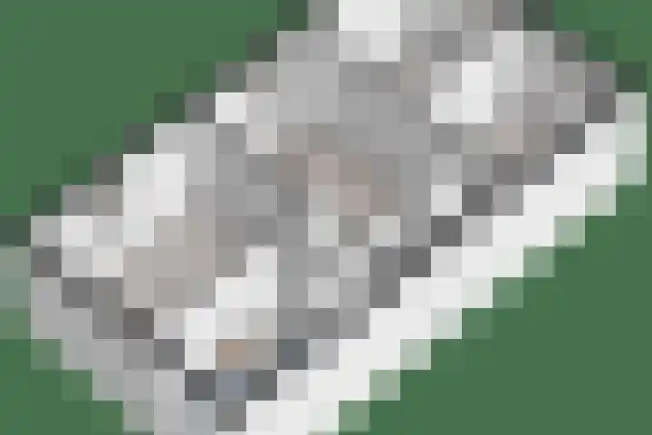 Binnenweg 37 Paasloo thumbnail 22