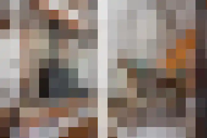Binnenweg 37 Paasloo thumbnail 28