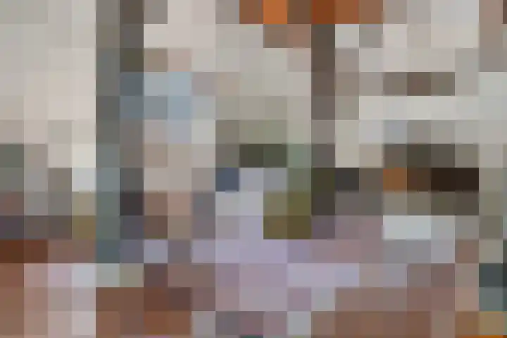 Binnenweg 37 Paasloo thumbnail 30