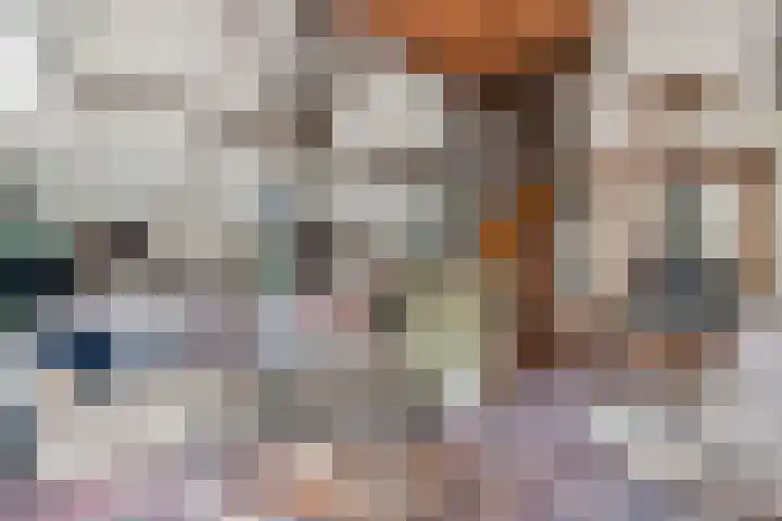 Binnenweg 37 Paasloo thumbnail 32