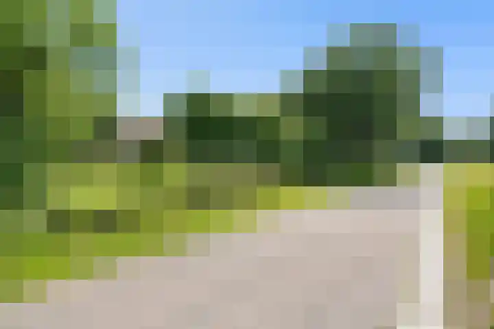 Binnenweg 37 Paasloo thumbnail 4