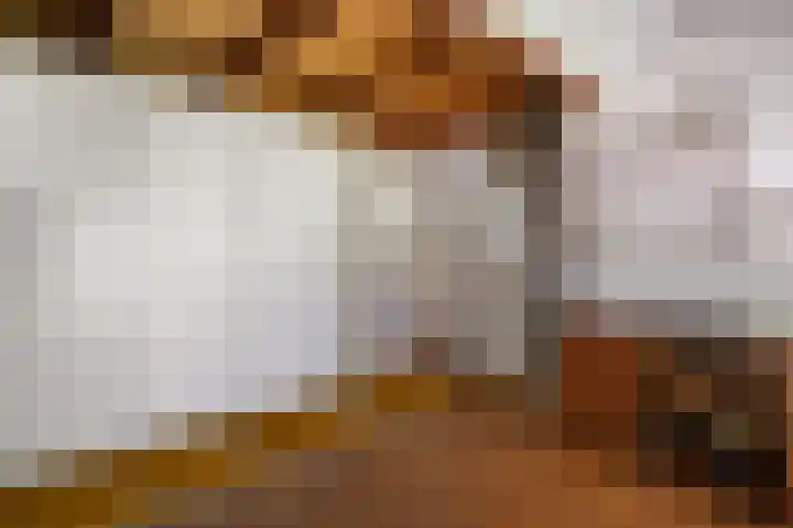 Binnenweg 37 Paasloo thumbnail 44