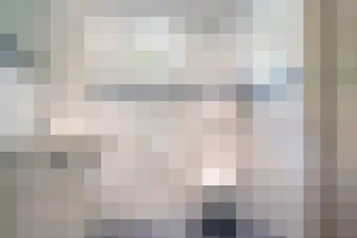 Binnenweg 37 Paasloo thumbnail 48