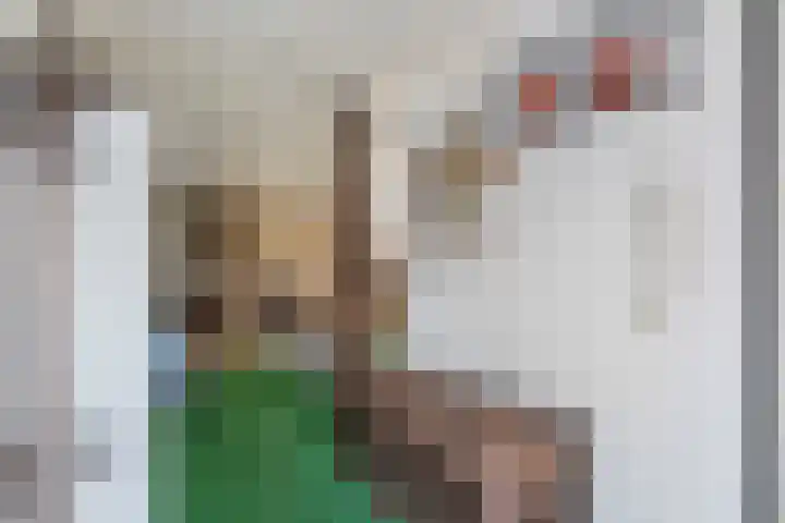 Binnenweg 37 Paasloo thumbnail 49