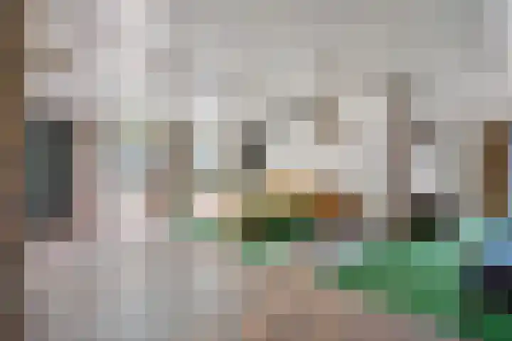 Binnenweg 37 Paasloo thumbnail 52